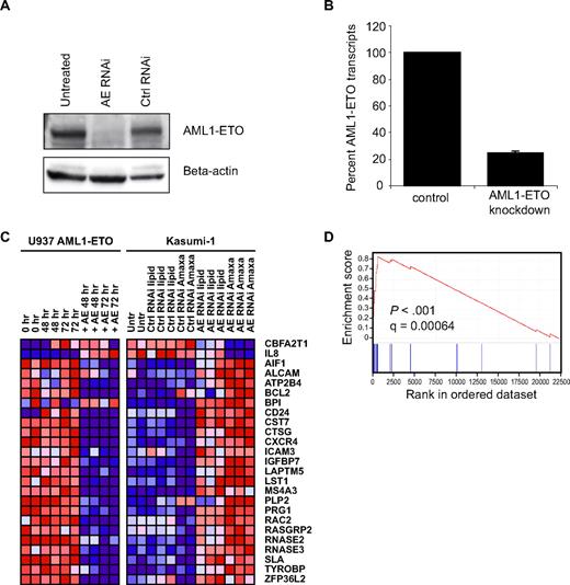 Figure 1. Discovery of AML1-ETO abrogation signature. (A) Kasumi-1 immunoblot with AML1 antibody demonstrates loss of AML1-ETO protein expression 96 hours after transient transfection with siRNA by Amaxa. (B) Real-time PCR with AML1-ETO–specific primers reveals loss of AML1-ETO RNA at 24 hours. (C) Transcriptional profiling of Kasumi-1 cells on Affymetrix U133A microarrays reveals AML1-ETO abrogation signature in Kasumi-1 cells with both lipid and Amaxa transfection. Dark red indicates high gene expression and dark blue indicates low gene expression. The corresponding gene expression in AML1-ETO–inducible U937 cells is indicated. (D) Gene set enrichment analysis demonstrates enrichment of the AML1-ETO abrogation signature in primary AML patient cells expressing t(8;21) versus other molecular subtypes of AML.