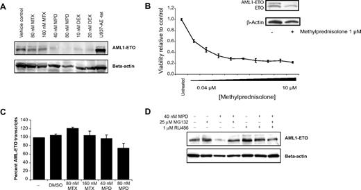 Figure 5. Decreased AML1-ETO protein abundance upon corticosteroid treatment. (A) Kasumi-1 immunoblot with anti-AML1 antibody. AML1-ETO protein loss was seen upon treatment with methylprednisolone (MPD) or dexamethasone (DEX) for 48 hours. AML1-ETO protein expression was only minimally decreased in the methotrexate (MTX)–treated samples. (B) Methylprednisolone reduces cellular viability and AML1-ETO abundance in primary patient t(8;21) cells. Primary patients' cells were treated with methylprednisolone, and cellular viability was assessed at 3 days with an ATP-based assay and plotted as a ratio relative to control cells. Error bars denote SD across 5 replicates. At 48 hours, expression of AML1-ETO was assessed with immunoblot using an anti-ETO antibody. AML1-ETO loss was seen upon treatment with methylprednisolone. (C) Minimal change in AML1-ETO RNA expression is seen upon MTX and MPD treatment for 48 hours. Results are normalized to control ABL1 gene expression, and conditions were tested in quadruplicate. (D) Methylpredisolone-induced AML1-ETO protein loss was rescued with both MG132 and RU486. Cells were treated with methylprednisolone ± RU486 for 48 hours. MG132 was added for the final 30 minutes of incubation.
