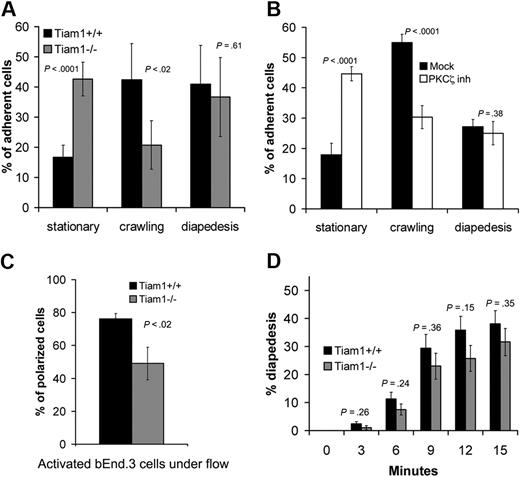 Figure 6. Tiam1 is required for T-cell crawling. T-cell blasts were subjected to shear flow for 15 minutes after accumulation on activated bEnd.3 monolayer. Four independent experiments were performed and 2 fields per condition for every experiment were recorded. (A,B) The behavior of single adherent T-cell blasts was analyzed and classified as stationary, crawling (without transendothelial migration), or transmigrating (diapedesis condition). Values indicate mean ± SD. (A) Analysis of WT and Tiam1−/− T cells; p indicates P value between the percentage of WT and Tiam1−/− T cells. (B) Analysis of WT T cells treated with or without a PKCζ inhibitor (2 μM); p indicates P value between percentage of treated and nontreated WT T cells. (C) Polarization of WT or Tiam1−/− T-cell blasts was monitored after 15 minutes. At least 50 cells were monitored in each group. Values indicate mean ± SD; p, P value between percentage of polarized WT and Tiam1−/− T cells. (D) The percentage of WT and Tiam1−/− T cells undergoing diapedesis was analyzed over time (every 3 minutes). Values indicate mean ± SD; p, P value between percentage of WT and Tiam1−/− T cells undergoing diapedesis at the same time point. No significant difference in diapedesis was observed between WT and Tiam1−/− T cells.
