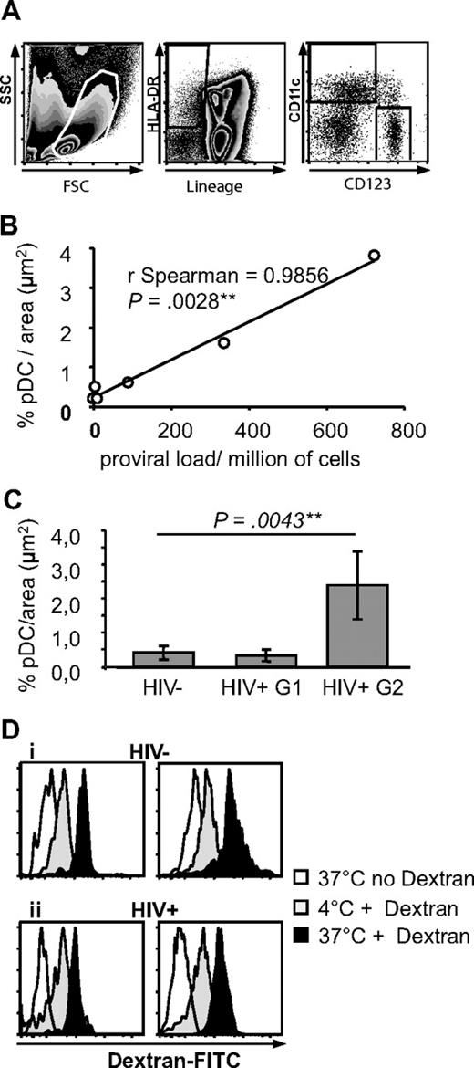 Figure 2. Characterization of pDCs and mDCs in spleens from HIV− and HIV+ patients. (A) Definition of pDCs and mDCs by flow cytometry. Spleen mononuclear cells were gated by size and granularity (left panel). Lineage− HLA-DR+ cells were gated (middle panel) and CD11c and CD123 expression analyzed on this population (right panel). (B) Quantitative analysis of pDCs in HIV+ patients. Correlation between pDC density and proviral load in 6 HIV+ patients (proviral load was not available for patient R). (C) Quantitative analysis of BDCA2 specific labeling on spleen sections. Results obtained from 5 HIV− patients (total sections analyzed: 17, total area analyzed: 55 574 729 μm2), and 6 HIV+ patients (for groups 1 and 2, respectively 3 patients each, total sections analyzed: 9 and 11, total area analyzed: 29 421 386 and 35 959 471 μm2). (D) Endocytosis capacity of spleen pDCs and mDCs. Endocytosis of dextran-fluorescein isothiocyanate by spleen pDCs (left) and mDCs (right) in an HIV− (i) and HIV+ (ii) patient. pDCs and mDCs were defined as in panel A. Graphs are representative of n = 6 HIV− and n = 3 HIV+ patients.