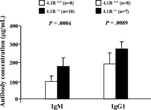 Figure 7. Enhanced humoral response to NP-KLH in 4.1R−/− mice. Ten 4.1R+/+ mice and 10 4.1R−/− mice were immunized with NP-KLH. The concentrations of anti-NP–specific IgM at day 10 after primary immunization and IgG1 at day 23 after primary immunization (10 days after a booster injection on day 13) were measured. Error bars indicate SD.