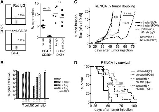 Figure 5. Depletion of Treg cells enhances the antitumor effects of adoptively infused syngeneic NK cells in tumor-bearing mice. (A) Treg cells and Tconv cells were isolated from BALB/c spleens using immunomagnetic beads selecting for CD4+/CD25+ Treg cells and CD4+/CD25− Tconv cells. T cells were then activated in vitro with anti-CD3 and IL-2 for 4 days. There was a depletion of Treg cells, but not DX5+/CD3− NK cells, in mice receiving anti-CD25 antibody or rat IgG isotype antibody. Peripheral blood was harvested 4 days after antibody treatment and was stained for CD25+ and CD4+ (Treg cells, gated on CD3+) or CD3− and DX5+ (NK cells). y- and x-axes show log fluorescence (horizontal bars show mean). (B) NK-cell cytotoxicity of RENCA tumor cells in presence of Tconv cells or Treg cells at various T cell–NK cell ratios (1:1, 1:3, and 1:9). A total of 30 μg/mL neutralizing anti–TGF-β antibody was added to 1:1 cocultures of NK cells and Treg cells. BALB/c mice were injected with RENCA (day 0) and treated with anti-CD25 antibody (day 3) and bortezomib (day 4) and syngeneic NK cells (day 5). Tumor progression (C) and survival (D) in mice receiving 3 weekly injections of bortezomib and NK cells; all mice received IL-2. All experiments were performed with 5 or more mice per group and repeated at least once. Results in panel D are pooled from 2 experiments with a total of 8 to 13 animals per group. Values in panels C and D represent tumor-doubling time and median survival days in mice receiving bortezomib and NK cells with anti-CD25 treatment or without anti-CD25 treatment, respectively. P values were calculated by unpaired t test or 2-tailed log-rank test.