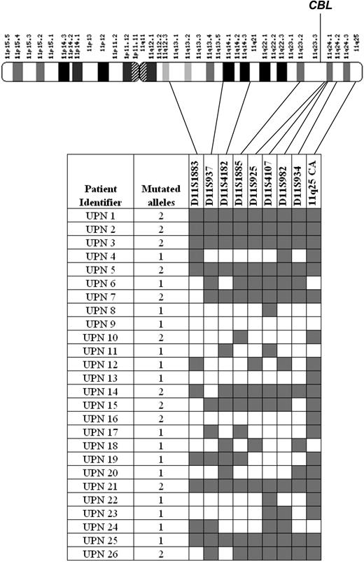 Figure 5. Microsatellite analysis of CBL mutation positive cases. The number of CBL mutated alleles (1 monoallelic; 2 biallelic) was estimated by sequence analysis as described in “Experimental procedures.” Microsatellites were scored as homozygous () or heterozygous (□) for each case and their positions on chromosome 11q are indicated.