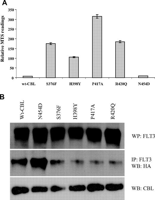 Figure 8. Survival and abrogation of E3 ubiquitin ligase activity. (A) Relative survival/proliferation of 32D cells expressing wild-type or mutant CBL constructs 48 hours after growth factor withdrawal as determined by MTS assay. (B) 32D cells expressing wild-type FLT3 and CBL constructs as indicated were transfected with HA-tagged ubiquitin and stimulated with FLT3 ligand. After lysis, FLT3 was immunoprecipitated, blotted, and probed with anti-HA. Total blots for FLT3 AND CBL are also shown.