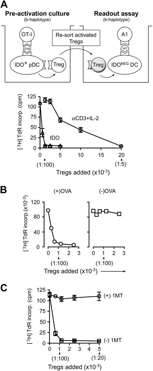 Figure 1. Activation of Treg suppressor activity by IDO and effector T cells. (A) Resting splenic Tregs (FACS-sorted CD4+CD25+) were cocultured with pDCs from TDLNs (CD11c+B220+) plus OT-I T cells, OVA peptide antigen, and feeder layer (all on the B6 background). After 2 days, the Tregs were harvested, resorted, and added to readout assays to measure suppressor activity (A1 T cells + congenic spleen DCs, CBA background). Graph represents proliferation in the readout assay by tritiated-thymidine incorporation, using either IDO-activated Tregs or the same Tregs activated with αCD3 cross-linking plus recombinant IL-2 (with IDO blocked using 1MT). Bars represent SD of replicate wells. (B) Tregs were activated with IDO+ pDCs as in panel A, with or without the cognate OVA peptide antigen for OT-I. (C) Tregs in panel A were activated in the presence of OT-I and OVA, with (○) or without (□) D-1MT to block IDO. Experiments in each panel were repeated 3 to 10 times with similar results.