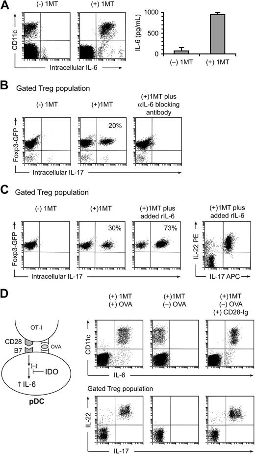 Figure 3. Up-regulation of IL-17 is driven by IL-6. (A) Cocultures were performed as in Figure 2, with and without 1MT. After 2 days, cultures were stained for IL-6 versus CD11c (to mark the sorted pDCs). The right graph represents IL-6 measurement by enzyme-linked immunosorbent assay on supernatants of cocultures (error bars show SD of quadruplicate wells). (B) Tregs were sorted from Foxp3GFP mice and activated in cocultures, with or without 1MT plus neutralizing polyclonal antibody against IL-6. After 2 days, cocultures were stained for CD4 versus IL-17. Plots represent the gated CD4+ (Treg) population. (C) Sorted Foxp3GFP Tregs were activated in cocultures with or without 1MT. Recombinant IL-6 (100 ng/mL) was added as shown. Plots represent the gated CD4+ (Treg) population. Plot at right indicates a representative example of coexpression of IL-22 and IL-17 on gated Tregs in IL-6–treated cocultures. (D) IL-6 up-regulation in pDCs requires OVA antigen or CD28→B7 engagement. Cocultures were performed in the presence of 1MT, with and without OVA or recombinant CD28-Ig fusion protein (20 μg/mL), as indicated. After 2 days, cultures were stained for IL-6 versus CD11c (top plots), and for CD4 versus IL-17 versus IL-22 (bottom plots, gated on the CD4+ Treg population). All experiments were repeated 3 to 10 times with similar results.