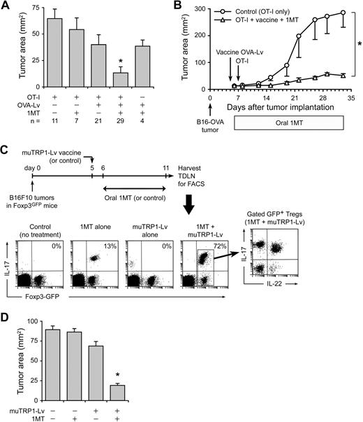 Figure 6. Replacement of Tregs by TH17-like cells is associated with enhanced antitumor efficacy. (A) Foxp3GFP mice with established B16-OVA tumors were treated using the protocol shown in Figure 5, with or without resting OT-I cells, OVA-Lv vaccine, and oral D-1MT, as indicated below the axis. On day 11, tumors were dissected and the tumor area measured as the product of orthogonal diameters. Values reflect the mean of pooled data from 7 independent experiments (error bars show SD); the total number of tumors analyzed in each treatment (n) is shown. *P < .01 by analysis of variance versus all other groups; bars represent SD. (B) B6 mice with established B16-OVA tumors were treated with adoptive transfer of resting OT-I cells (control) or OT-I cells plus OVA-Lv vaccine plus oral D-1MT, as in the previous panel. Data points represent average of 5 mice; bars represent SD. One of 2 experiments. (C) Foxp3GFP mice were injected with 106 B16F10 tumor cells. On day 5, mice received muTRP1-Lv vaccine (or control). D-1MT in drinking water (or control) was started on day 6. On day 11, TDLNs were harvested and stained for intracellular IL-17 as in Figure 5. Percentages give the fraction of Foxp3GFP-positive cells coexpressing IL-17. Representative of4 independent experiments. (D) Foxp3GFP mice with established B16F10 tumors were treated with or without muTRP1-Lv vaccine and D-1MT in drinking water, as indicated. Tumor size was measured at necropsy on day 11. Each data point is a mean of 6 tumors from 3 independent experiments (error bars show SD). *P < .01 by analysis of variance.