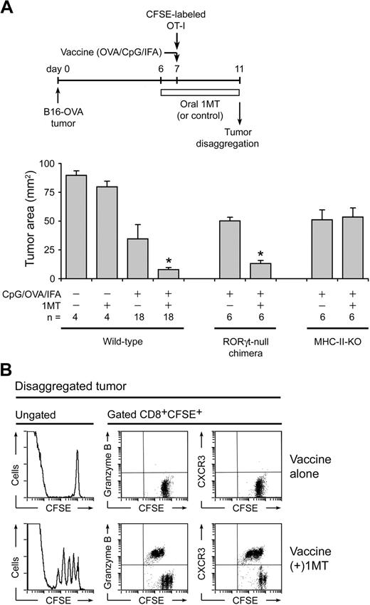 Figure 7. Enhancement of CpG-based vaccine by 1MT. (A) Wild-type B6 mice with established B16-OVA tumors were treated with adoptive transfer of OT-I cells, with or without 1MT, and with or without vaccine (OVA protein in incomplete Freund adjuvant plus CpG-1826). In parallel experiments, wild-type hosts were compared with RORγt-null bone marrow chimeric hosts (as in Figure 5D) or with MHC class II-deficient (IAb-KO) hosts. Mean data are indicated, pooled from a total of 8 experiments; bars represent SD. *P < .05 by analysis of variance. (B) B6 mice with B16-OVA tumors received CFSE-labeled OT-I cells plus OVA/CpG/IFA vaccine, with or without 1MT as shown. After 4 days, tumors were disaggregated and stained for CD8 versus granzyme B or CXCR3.