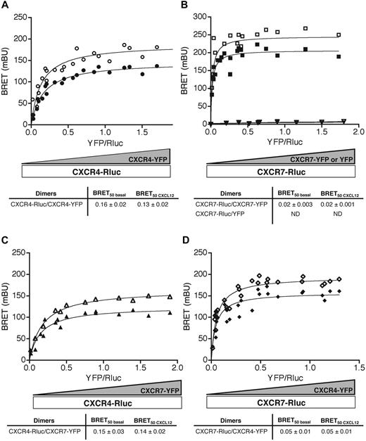 Figure 1. CXCR4 and CXCR7 form homodimers and heterodimers in living HEK-293T cells. (A-D) BRET titration curves were generated in cells expressing a constant amount of either CXCR4-Rluc (A,C) or CXCR7-Rluc (B,D) and increasing quantities of YFP or YFP-tagged receptors, stimulated (open symbols) or not (closed symbols) with 1 μM CXCL12. BRET50 values presented in the tables were deduced from data analysis using a nonlinear regression equation applied to a single binding site model and are representative of 3 to 5 independent experiments. BRETmax signals from cells containing CXCR4 or CXCR7 homodimers or heterodimers were significantly increased by CXCL12 compared with basal conditions (P < .05).
