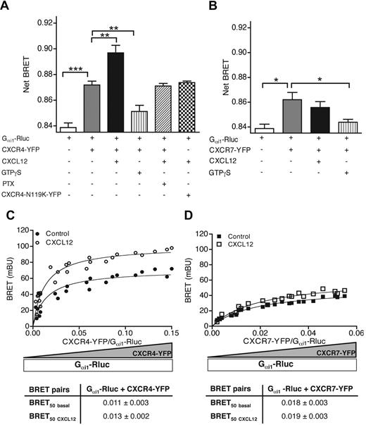 Figure 4. CXCR7 constitutively interacts with, but does not activate, Gαi1 proteins. (A,B) BRET signal between Gαi1-Rluc and either CXCR4-YFP (A), CXCR4-N119K-YFP (A), or CXCR7-YFP (B) was measured 48 hours after transfection of HEK-293T cells, after preincubation or not with GTP-γS (200 μM) for 90 minutes at 25°C or PTX (100 ng/mL) overnight at 37°C and stimulation or not by 1 μM CXCL12. (C,D) BRET saturation assays were performed on cells transfected with a constant amount of the Gαi1-Rluc fusion protein and increasing amounts of CXCR4-YFP (C) or CXCR7-YFP (D). BRET signals were determined in the absence (control) or presence of 1 μM CXCL12. Data represent 3 independent experiments. (C) BRETmax signals were significantly increased by CXCL12 compared with basal conditions (P < .05). ***P < .001; **P < .01; *P < .05.