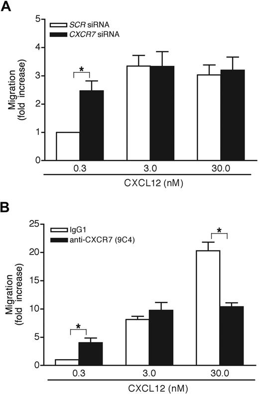 Figure 6. CXCR7 regulates CXCL12-promoted chemotaxis of T lymphocytes. (A) T lymphocytes were nucleoporated with 5 μg SCR or CXCR7 siRNAs and tested for their ability to migrate in response to CXCL12 at the indicated concentrations. Data represent 3 independent experiments performed in duplicate. (B) T lymphocytes were tested for their ability to migrate in response to CXCL12 at the indicated concentrations in the presence of either mouse isotype control (IgG1) or the anti-CXCR7 mAb (9C4) at 10 μg/mL. The amount of input CD4+-gated T cells that migrated to the lower chamber was compared with that of SCR siRNA- (A) or IgG1-treated cells (B) that migrated toward 0.3 nM CXCL12 (arbitrarily set at 1, and accounting for, on average, 3% of input cells). Data represent 3 independent experiments. *P < .05, compared with lymphocytes nucleoporated with SCR siRNA or incubated with IgG1.