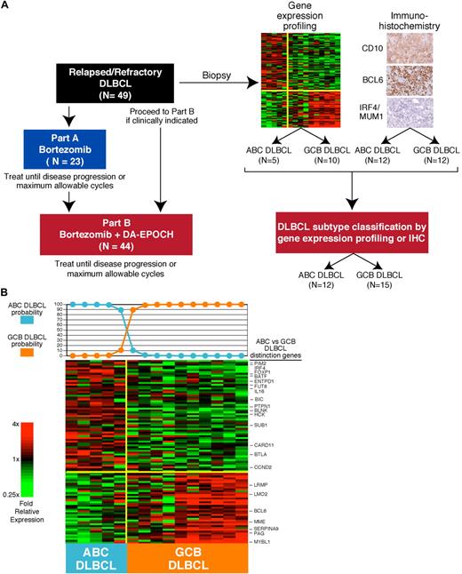 Figure 1. Study schema. (A) Clinical treatment paradigm. Patients initially received bortezomib alone at 1.3 mg/m2 on days 1, 4, 8, and 11 every 21 days (Part A) unless they had disease that the investigators judged to require immediate chemotherapy, as in cases of impending or ongoing organ compromise; these patients received only Part B. Patients with progressive disease in Part A later received bortezomib with DA-EPOCH (Part B). Molecular classification. Of 31 DLBCL cases analyzed by gene expression profiling, 16 were excluded due to ineligible subtype by classification or did not receive Part A, leaving 5 ABC and 10 GCB cases eligible for analysis of outcome. Of 24 paraffin- embedded tumor biopsies analyzed by immunohistochemistry, 12 of each were categorized as GCB and ABC (non-GCB) type.18 By combining both methods, cases were identified as GCB in 15 and ABC in 12 and included in the analysis of outcome with Part B. (B) Gene expression profiling for 15 biopsy samples that were classified as GCB (10) or ABC (5) DLBCL. Relative mRNA expression levels for 100 genes that distinguish ABC and GCB DLBCL are depicted according to the color scale shown. The probability that a sample is ABC or GCB DLBCL based on the Bayesian gene expression-based classifier is shown at the top.