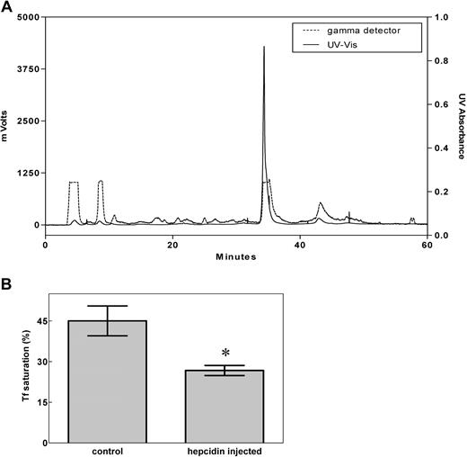 Figure 1. Preparation of bioactive hepcidin. (A) The HPLC profile of purified 125I-hepcidin. Synthetic human hepcidin was renatured, labeled using 125I, as described in “Methods,” and subjected to HPLC purification (broken line: 125I radioactivity; solid line: 210 nm UV absorbance). More than 98% of the peptide was present in the main 125I peak. (B) Hepcidin significantly (*P < .01) decreases the saturation of transferrin (Tf) with iron when mice were injected with the renatured peptide. Results in panel A are typical of 3 or 4 experiments, while those in panel B are mean ± SD (3-4 experiments).