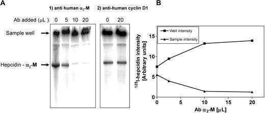 Figure 4. Hepcidin-binding protein in plasma is supershifted with an anti–α2-M antibody. (A) Human plasma was incubated with 125I-human hepcidin (2.8 μM) for 1 hour at 37°C. This sample was then divided into portions to which increasing amounts of anti–α2-M antibody (5-20 μL; concentration 200 μg/mL) or anti–cyclin D1 antibody (20 μL; concentration 200 μg/mL) were added. The samples were separated using native-gradient PAGE. After electrophoresis, the gel was vacuum dried, scanned, and analyzed using a phosphorimager. Results are typical from 3 separate experiments. (B) The radioactivity in the 125I-hepcidin–α2-M protein band (▴) and the sample wells (■) were plotted to show that the addition of anti–α2-M antibody progressively decreases the radioactivity in the 125I-hepcidin–binding protein band and increases the activity in the sample wells. The activity in the wells is because the high molecular weight antibody–α2-M complex cannot penetrate into the gel. The radioactivity in the sample well with no antibody is caused by the presence of cationic free hepcidin, which does not migrate into the gel. Results are typical of 3 separate experiments.