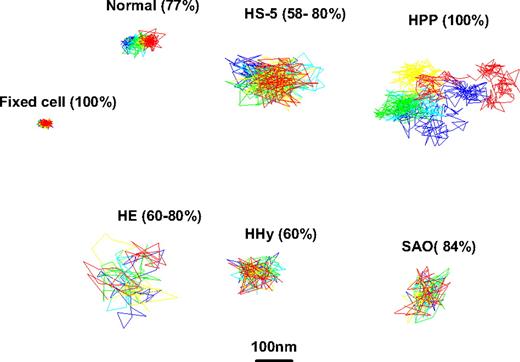 Figure 4. Representative trajectories of DIDS-biotin–labeled band 3 on normal and mutant intact human erythrocytes. After labeling with DIDS-biotin conjugate, the diffusion of the labeled band 3 was imaged for 100 consecutive frames at 120 frames/s on fixed normal, unfixed normal, HS, HPP, HE, HHy, and SAO erythrocytes. Because most of these cell types have multiple populations of band 3, the trajectory of only the most abundant population is displayed (percent of total band 3 is indicated in parentheses).