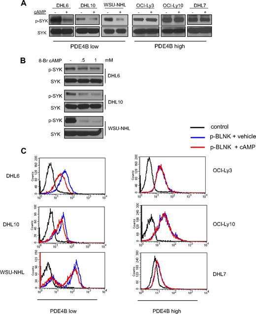 Figure 1. PDE4B-dependent cAMP inhibition of SYK in DLBCL. (A) Western blot analyses show a marked inhibition of phospho-SYK (Tyr525/526) levels after elevation of intracellular levels of cAMP with the adenylyl cyclase activator Forskolin. These effects are present in PDE4B-low but not in PDE4B-high DLBCL cell lines. Total SYK expression confirms equal loading. (B) Exposure of DLBCL cell lines to the cell-permeable synthetic 8-Br-cAMP also significantly decreased SYK phosphorylation confirming the specificity of Forskolin effects. (C) FACS analysis shows that cAMP inhibits intracellular expression of phospho-BLNK (Tyr84), a direct SYK target, in a PDE4B-dependent manner. A 43%, 34%, and 37% decrease in the mean phospho-BLNK expression was detected in DHL6, DHL10, and WSU-NHL, respectively.