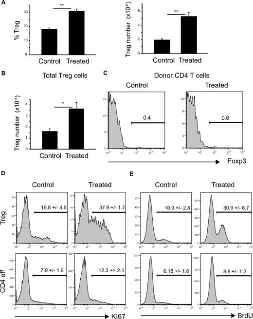 Figure 2. Expansion of peripheral NTreg compartment due to increased proliferation of Foxp3+ CD4 T cells. (A) Mice were thymectomized before FLT3L treatment (10 μg intraperitoneal injection daily for 10 days). Histograms show percentages of Foxp3+ among CD4 T cells (left) and absolute numbers (right) in the spleen of control or treated mice. Each bar shows mean ± SEM. **P < .01. (B,C) CD45.1 WT mice were irradiated (100 rad) before intravenous injection of 2 × 106 sorted CD4+Foxp3− cells from CD45.2 Foxp3EGFP reporter mice. After 2 weeks, mice were treated with FLT3L (10 μg intraperitoneal injection daily for 10 days) or left as control. (B) Absolute numbers of CD4+Foxp3+ cells in the spleen of control or treated mice. Histogram shows mean ± SEM. *P < .05. (C) Histograms show percentage of Foxp3+ cells within CD45.2+D4+ donor cell population in control or treated animals. (D) Histograms show percentages of Ki67+ cells among Foxp3+ (top panels) or Foxp3− (bottom panels) CD4 T cells in control or treated animals. (E) Histograms show incorporation of BrdU in Foxp3+ (top panels) or Foxp3− (bottom panels) CD4 T cells in control or treated animals pulsed with BrdU.