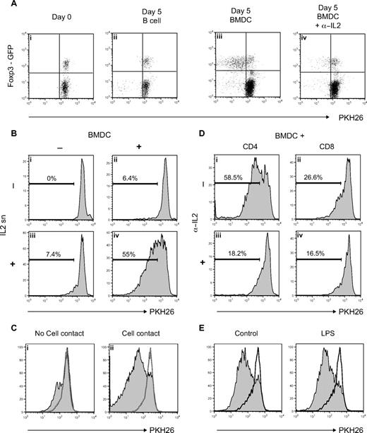 Figure 3. FLT3L-differentiated BMDCs induce proliferation of Tregs. (A) PKH26-labeled lymph node cell suspension from Foxp3EGFP reporter mice was incubated with sorted syngeneic B-cell or syngeneic in vitro FLT3L-differentiated BMDCs for 5 days with or without antagonistic anti-IL-2. Dot plots show PKH26 level on CD4 T cells. (B) PKH26-labeled CD4+Foxp3+ cells sorted from Foxp3EGFP reporter mice were incubated with or without extra IL-2 and with or without BMDCs. Histograms show PHK26 level on CD4+Foxp3+ cells after 5 days of incubation. (C) PKH26-labeled CD4+Foxp3+ cells sorted from Foxp3EGFP reporter mice were incubated with extra IL-2 only (empty histogram) or with BMDCs without (left panel) or with (right panel) cell contact. Histograms show PHK26 level on CD4+Foxp3+ cells after 5 days of incubation. (D) PKH26-labeled CD4+Foxp3+ cells sorted from Foxp3EGFP reporter mice were incubated with BMDCs and sorted CD4+Foxp3− (CD4:Tregs ratio, 4:1) or CD8+ (CD8:Tregs ratio, 2:1) T cells. Cocultures were done in presence or absence of antagonistic anti–IL-2. Histograms show PHK26 level on CD4+Foxp3+ cells after 5 days of incubation. (E) PKH26-labeled CD4+Foxp3+ cells sorted from Foxp3EGFP reporter mice were incubated with extra IL-2 only (empty histogram) or with control BMDCs (left panel) or LPS-activated BMDCs (right panel). Histograms show PHK26 level on CD4+Foxp3+ cells after 5 days of incubation.