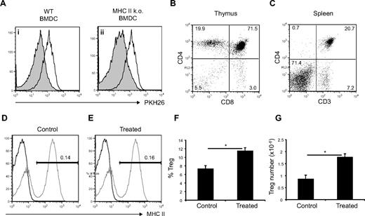 Figure 4. Mechanism of FLT3L-induced Treg proliferation is TCR independent. (A) PKH26-labeled CD4+Foxp3+ cells sorted from Foxp3EGFP reporter mice were incubated with WT BMDCs (filled histogram, left panel), MHC class II KO BMDCs (filled histogram, right panel), or alone (empty histogram) in presence of extra IL-2. Histograms show PHK26 level on CD4+Foxp3+ cells after 5 days of incubation. (B-G) WT mice were lethally irradiated and reconstituted with MHC class II KO bone marrow. (B) CD4 versus CD8 expression in thymus of MHC class II KO → WT chimera. (C) CD4 versus CD3 expression in spleen of MHC class II KO → WT chimera. (D,E) MHC II expression in the spleen of control or FLT3L-treated MHC class II KO → WT chimera (black line) versus WT control (gray line). (F,G) Percentages of Foxp3+ cells among CD4 T cell or absolute number of Foxp3+ cells in spleen of treated versus control MHC class II KO → WT chimera. Each histogram shows mean ± SEM. *P < .05.