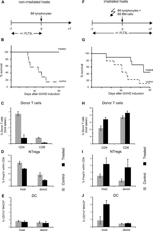 Figure 5. FLT3L treatment prevents mice dying from by acute GVHD. (A-E) (C57BL/6 × DBA/2)F1 mice were treated with FLT3L (20 μg intraperitonal injection every second day from days −7 to 0) or left untreated. At day 0, mice were injected with 50 × 106 pooled lymph node/spleen from C57BL/6 mice. (F-J) (C57BL/6 × DBA/2)F1 mice were treated with FLT3L (20 μg intraperitoneal injection every second day from days −7 to 7) or left untreated. At day 0, mice were irradiated (600 rad) and injected with 50 × 106 pooled lymph node/spleen plus 8 × 106 bone marrow cells from C57BL/6. (B,G) Survival curves of control and treated mice. (C,H) Percentages of C57BL/6 CD4 and CD8 T cells in the spleen of control or treated mice at day 7. (D,I) Percentage of Foxp3+ cells within host or donor CD4 T cells in the spleen of control or treated mice at day 7. (E,J) Percentage of CD11chighMHCIIhigh cells within host or donor cells in the spleen of control or treated mice at day 7.