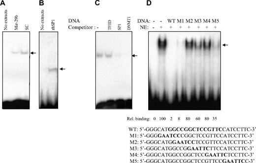 Figure 4. DNMT1 promoter activity was down-regulated by pre-miR-29b through repression of Sp1. (A) EMSA of DNMT1 promoter DNA and nuclear extracts prepared from K562 cells transfected with miR-29b construct (miR-29b) or scrambled control (sc). The arrow represents the DNMT1-protein complex. (B) EMSA of DNMT1 promoter DNA with human recombinant Sp1 protein (0.5 mg, rhSp1, Promega, catalog no. E6391) or no protein extracts. These data further indicate that Sp1 is binding to the DNMT1 promoter DNA. (C) EMSA of DNMT1 promoter DNA using K562 nuclear extracts with unlabeled DNA competitors (Sp1-binding elements and DNMT1 promoter DNA, WT). As a control, we used no DNA competitor (−) and a nonspecific unlabeled probe (TFIID) that contains the TATA box sequence 5′-GCAGAGCATATAAGGTGAGGTAGG A-3′. This sequence is not related to the DNMT1 promoter DNA. The fact that this oligo did not compete shows specificity of DNA competition by DNMT1 DNA and by SP1 DNA. (D) EMSA of DNMT1 promoter DNA using K562 nuclear extracts and unlabeled wild-type (WT) or mutants (M) excess (20 times) DNA competitors. The first 2 lanes (from the left) are without competitors. The sequences of the DNMT1 promoter DNA and various DNMT1 mutants with linker scanned mutations (shown in bold-type) are shown below (M1-M5).