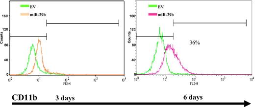 Figure 7. Overexpression of pre-miR-29b induces partial differentiation of AML blasts. (A) Flow cytometry analysis of CD11b expression in Kasumi-1 cells infected with lentivirus-expressing miR-29b or empty vector. Green represents empty vector (EV); red, miR-29b lentivirus.