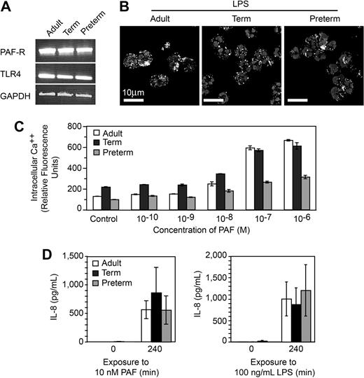 Figure 2. PMNs from term and preterm neonates respond to LPS and PAF, excluding developmental deficiency in these signaling systems as a mechanism of defective NET formation. (A) Expression of mRNA for TLR4, the PAF receptor, and GAPDH in PMNs isolated from each subject group was determined by semiquantitative RT-PCR. (B) FITC-labeled LPS uptake was determined in each subject group by immunocytochemistry and confocal microscopy. (C) Intracellular Ca++ release was determined by fluorometry following preincubation with Fluo4, a Ca++-dependent fluorochrome, and stimulation with the indicated concentrations of PAF. The data bars indicate mean plus or minus SEM fluorescence in 3 separate experiments with PMNs from adult, term, and preterm subjects. (D) Secretion of IL-8 at baseline and at 240 minutes was determined by ELISA following stimulation of PMNs with PAF (10 nM) or LPS (100 ng/mL). The data indicate mean plus or minus SEM supernatant IL-8 concentrations in 3 separate experiments with PMNs from each subject group. A similar pattern was seen after a 120-minute incubation time (not shown).