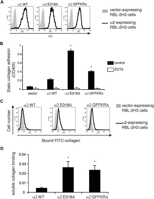 Figure 1. α2E318A and α2GFFKRΔ mutant integrins confer binding to immobilized and soluble collagen. (A) Surface expression of α2 integrins in RBL-2H3 cells infected with lentiviral vectors encoding wild-type (WT), E318A, and GFFKRΔ α2 integrin subunits. Cells were sorted to obtain populations with similar expression levels. (B) Static adhesion of RBL-2H3 cells expressing empty vector or the indicated α2 integrins to immobilized type I collagen in the presence and absence of 5 mM EDTA. N = 3; mean and SD are shown. *P < .05 compared with α2WT. (C) Activated α2 mutants confer soluble collagen binding. Binding of FITC-conjugated soluble collagen to RBL-2H3 cells expressing wild-type, E318A, or GFFKRΔ α2 subunits was measured using flow cytometry. (D) Quantitation of soluble collagen binding conferred by the E318A and GFFKRΔ α2 integrin mutants. N = 7; mean and SD are shown. *P < .05 compared with α2WT.