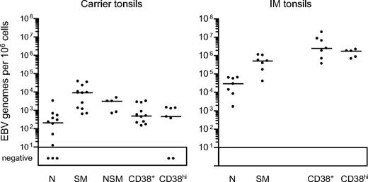 Figure 4. EBV genome loads in tonsillar B-cell subsets isolated by CD38/IgD/CD27 sorting. EBV genome loads in naive (N), isotype-switched memory (SM), nonswitched memory (NSM), CD38+ and CD38hi B-cell subsets were determined by quantitative PCR and the results expressed as EBV genomes per 106 cells. Median values for each group (shown by the horizontal bars) are 2.1 × 102, 9.1 × 103, 3.1 × 103, 4.9 × 102, and 4.5 × 102, respectively, for chronic carrier tonsils, and 2.9 × 104, 5.2 × 105, not determined, 2.5 × 106 and 1.8 × 106, respectively, for IM tonsils.