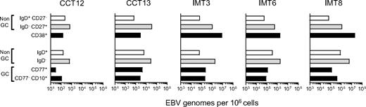 Figure 6. EBV genome loads in tonsillar B-cell subsets isolated by alternative sorting strategies. Duplicate samples from 2 chronic carrier tonsils (CCT12, 13) and from 3 IM tonsils (IMT3, 6, 8) were sorted independently using 2 different protocols. For each tonsil, (1) the top 3 bars indicate EBV genome loads in subsets isolated by CD38/IgD/CD27 sorting into purified naive (CD38−, IgD+,CD27−, □), isotype-switched memory (CD38−, IgD−, CD27+ gray bars), and CD38+ (■) B-cell subsets, and (2) the bottom 4 bars show corresponding data for subsets isolated by CD77/CD10/IgD sorting into CD10−, CD77− non-GC cells that are IgD+ (□) or IgD− (), CD77+ centroblasts and CD10+ CD77− centrocytes (■). Viral loads are expressed as EBV genomes per 106 cells.