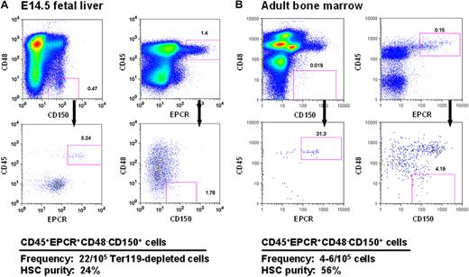 Figure 1. CD45+EPCR+CD48−CD150+ (E-SLAM) cells from E14.5 FL cells and adult BM are highly enriched for HSCs. Representative profiles of viable cells after being stained with antibodies to CD45-FITC, EPCR-PE, CD48-APC, and one of CD150-biotin/streptavidin-PE-TexasRed or CD150-PECy7 from E14.5 FL (A) and adult mouse BM (B). The E-SLAM fraction of cells represents approximately 0.02% of Ter119-depleted FL cells and approximately 0.004% of the adult BM population. The HSC purities in these suspensions were determined from monitoring mice injected with single E-SLAM cells for at least 16 weeks after transplantation. Plots were generated using FlowJo software from TreeStar (Ashland, OR).