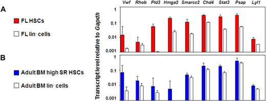 Figure 4. Nine candidate genes are consistently expressed in the E-SLAM fraction versus the lineage negative fraction of BM and FL blood cells. (A) Quantitative real-time PCR analyses of transcript levels in extracts of 300 to 400 E-SLAM cells (red bars) or 104 lin− (white bars) from FL. (B) Quantitative real-time PCR analyses of transcript levels in extracts of 300 to 400 E-SLAM cells (blue bars) or 104 lin− (white bars) from adult BM. All values are normalized to Gapdh. Values shown are the mean ± SEM of values obtained in 3 to 6 independent experiments, with each measurement being derived from triplicate assays. N.D. indicates not done.