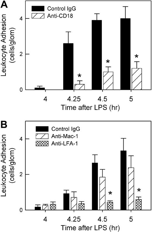 Figure 3. Roles of β2-integrins in anti-MPO–induced glomerular leukocyte adhesion in LPS-pretreated mice. (A) Mice underwent treatment with LPS (0.1 μg, 4 hour) and received either anti–β2-integrin (2E6, 2 mg/kg) or control hamster IgG immediately prior to anti-MPO (50 μg, intravenously) (n = 5/gp). (*P < .001 vs control IgG at the corresponding time points.) (B) Using a similar approach, mice were treated with mAbs against either LFA-1 (M17/4, 170 μg, n = 6) or Mac-1 (5C6, 100 μg, n = 6) to identify which β2-integrin was mediating anti-MPO–induced adhesion. Data were compared with mice treated with isotype control mAb (n = 6). (*P < .001 vs isotype control IgG at same time point, via 2-way ANOVA.)