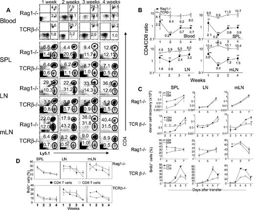 Figure 2. Kinetic of CD4 and CD8 proliferation in different lymphopenic hosts. (A,B) Cells from the blood, spleen, LN, and mesenteric LN at the indicated times after transfer were stained for Ly5.1 and CD4. The results are representative of 3 individual mice per group. The ratio of transferred donor cells was analyzed at every week after transfer. Shown are the mean ± SD of individually tested mice (n = 3). (C,D) Groups of Rag1−/− and TCRb−/− mice were transferred with naive Ly5.1 T cells, and killed at the indicated time points after the transfer. Total cell recovery as well as BrdU incorporation was determined as described in “Flow cytometry.” Shown are the mean ± SD of individually tested mice (n = 3). *P < .05; **P < .01.