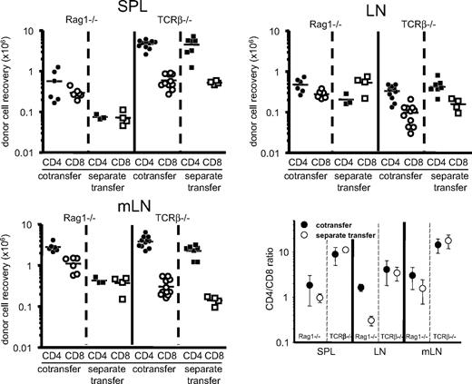 Figure 3. Proliferative responses of naive CD4 and CD8 T cells after cotransfer of separate transfer. Groups of Rag1−/− and TCRβ−/− recipients were transferred with 106 Ly5.1 naive T cells (cotransfer). Another group of mice were transferred with either 0.5 × 106 Ly5.1 naive CD4 or CD8 cells (separate transfer). The total cell recovery as well as the CD4/CD8 ratio in the indicated tissues was analyzed 7 days after transfer. Each symbol represents individual recipient mice. Shown are the mean ± SD of individually tested mice (n = 3-11).