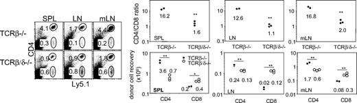 Figure 6. Naive T-cell proliferation and expansion in mice deficient in TCRβ/δ. Ly5.1 naive T cells (106) were adoptively transferred into TCRβ−/− and TCRβ/δ−/− recipients. The FACS profiles, the ratio, and the total cell recovery of donor CD4 and CD8 T cells were analyzed 7 days after transfer. Each symbol represents individual mice. *P < .05; **P < .01.