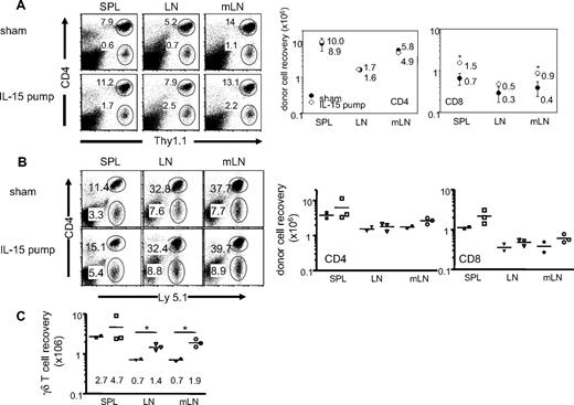 Figure 7. Exogenous IL-15 enhances CD8 T-cell expansion. (A) Groups of TCRβ−/− mice that receive Thy1.1 naive T cells were implanted with a miniosmotic pump containing 5 μg rmIL-15. Mice were killed 3 weeks after pump implantation. Tissue cells were stained for Thy1.1 and CD4. Total T-cell recovery was determined by FACS analysis. Shown are the mean ± SD of 3 to approximately 4 individually tested mice. (B) Groups of Rag1−/− mice received 3 × 106 γδ T cells at day 0, 106 naive T cells at day 14 together with a miniosmotic pump containing 5 μg rmIL-15. Mice were killed 14 days after the pump treatment. Total cell recovery of donor CD4 and CD8 T cells was determined by FACS analysis. (C) Total γδ T-cell recovery was also determined by FACS analysis. Each symbol represents individual mice. *P < .05.