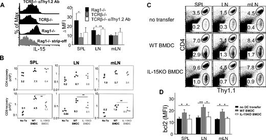 Figure 8. Roles of IL-15 and DCs in CD8 T-cell proliferation. (A) Expression of membrane bound IL-15 on the splenic CD11c+ DCs of Rag1−/− mice, TCRβ−/− mice, and TCRβ−/− mice treated with anti-Thy1.2 Ab every 4 days for 2 weeks before sacrifice was examined as described in“Methods.” Cells were washed with acid PBS to strip off membrane bound IL-15. IL-15 staining was repeated to validate the staining. The results are representative from 3 independent experiments. (B) BMDCs (wild-type or IL-15−/−) were generated as described in “BMDCs” and adoptively transferred (5 × 106 DCs) together with 106 Thy1.1 naive T cells into TCRβ−/− recipients. Dot plots are representative of 6 to 7 individually tested mice from 2 independent experiments. (C) Total CD4 and CD8 T-cell recovery was calculated from the indicated tissues 7 days after transfer. Each symbol represents individual recipient. (D) Intracellular bcl-2 expression of CD8 T cells was determined at 14 days after transfer of naive T cells and BMDCs derived from wild-type or IL-15−/− mice into TCRβ−/− recipients. *P < .05; **P < .01. Shown are the mean ± SD of individually tested mice (n = 3 to ∼ 4).