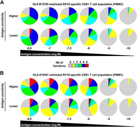 Figure 3. Ex vivo polyfunctional profiles of HIV-specific CD8+ T-cell populations. Polyfunctional profiling of representative HLA B*2705-restricted KK10 (A)– or HLA A*0301-restricted RY10 (B)–specific CD8+ T-cell populations (from 2 patients of 5 in each case) with different antigen sensitivities along a peptide concentration gradient. Antigen sensitivity of these populations was determined in standard intracellular cytokine-staining assays for IFN-γ secretion conducted directly ex vivo.