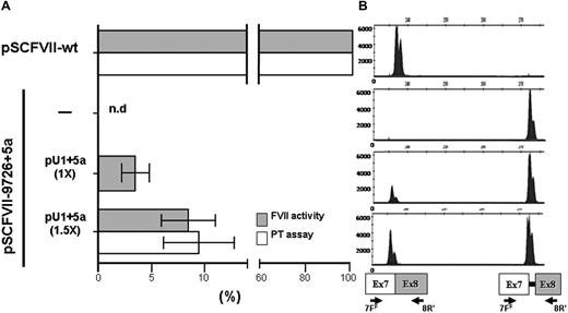 Figure 2. Rescue of FVII splicing and FVII function by the modified U1+5a in COS-1 cells. (A) FVII-mediated FXa generation (grey histograms) and FVII coagulant (white histograms) activity in conditioned medium from COS-1 cells transfected with pSCFVII-wt or the pSCFVII-9726+5a without and with equimolar concentration (1×) or an excess (1.5×) of pU1+5a. Mean and SD are shown. The PT-based assays have been performed on an ACL TOP automated coagulometer (Instrumentation Laboratory, Milan, Italy). Briefly, 50 μL conditioned medium was mixed with 50 μL FVII-depleted plasma (Instrumentation Laboratory) and incubated for 30 seconds at 37°C. RecombiPlasTin 2G (100 μL; Instrumentation Laboratory), as source of recombinant human tissue factor, calcium, and phospholipids were then added and coagulation time recorded. nd indicates not detectable. (B) Separation on a denaturing capillary system (automated ABI-3100) of fluorescently labeled RT-PCR products obtained from total RNA of cells transfected as indicated in panel A. A representative example is shown. The scheme of transcripts, and of primers used (7FF, fluorescently labeled; 8R),12 is depicted at the bottom. Separation of 1 μL of 1:100 diluted RT-PCR reaction is shown. As expected, the fragment sizes of the normal and aberrant transcripts were 236 bp and 273 bp, respectively.