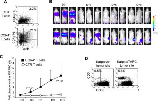 Figure 5. Improved in vivo migration of CCR4+ T cells. CTR and CCR4+ T cells were transduced to express eGFP-FFLuc to monitor their migration in vivo in SCID mice, using the IVIS imager system. (A) The expression of eGFP-FFLuc on CTR (top plot) and CCR4+ (bottom plot) T cells evaluated by GFP. (B) The bioluminescence signal from CTR and CCR4+ T cells in 3 representative SCID mice/group engrafted with TARC− tumor (K/wt) on the left side and the TARC+ tumor (K/TARC) on the right side. Whereas no significant expansion of the bioluminescent signal was observed to either site of tumor in mice receiving CTR T cells (top picture in each pair), an increase in bioluminescence was observed in mice receiving CCR4+ T cells (bottom picture in each pair) only at the site of the tumor producing TARC. (C) The fold change of bioluminescence signal between K/wt and K/TARC sites for CTR (○) and CCR4+ (■) T cells. Data are mean ± SD of 6 mice. (D) The immunophenotype of K/wt (left plot) and K/TARC (right plot) tumors isolated from one representative mouse that received CCR4+ T cells, killed on day 9. After removal, the tumors were homogenized and cells stained to distinguish T cells (using an antihuman CD3 antibody) from Karpas tumor cells (using an antihuman CD30 antibody). As shown in the panel, the proportion of cells detectable at the site of tumor-secreting TARC (5.6%) was more than 10-fold higher compared with K/wt (0.5%). This correlated with the increase in bioluminescence signal at the site of K/TARC tumor (2.1 × 106 p/sec/cm2/sr) compared with the site of K/wt tumor (1.4 × 105 p/sec/cm2/sr).