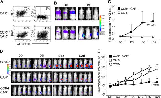 Figure 7. Improved in vivo migration and antitumor activity of T cells transduced with a bicistronic vector encoding both CCR4 and CAR-CD30. For in vivo experiments, T cells transduced with CAR-CD30 or the bicistronic vector encoding CCR4 and CAR-CD30 were further transduced to express eGFP-FFLuc to monitor their migration in vivo in SCID mice using the IVIS system. (A) The expression of eGFP-FFLuc on CAR-CD30+ and CCR4+CAR-CD30+ cells in one representative donor. (B) The bioluminescence signal from T cells in 3 representative SCID mice engrafted with TARC− tumor (Karpas/wt) on the left side and the TARC+ tumor (Karpas/TACR) on the right side. Whereas no significant expansion of the bioluminescent signal was observed at either tumor site in mice receiving CAR-CD30+ T cells (top panels), a significant increase of bioluminescence was observed in mice receiving CCR4+CAR-CD30+ T cells (bottom panels) at the site of tumor-producing TARC. (C) The fold change of bioluminescence signal between K/wt and K/TARC site for CAR-CD30+ (□) and CCR4+CAR-CD30+ (■) T cells. Data are mean ± SD of 8 mice. Data confirm that CCR4 expressed by T cells using a bicistronic vector remain functional in vivo. To evaluate in vivo antitumor activity of T cells transduced with the bicistronic vector, the HL-derived cell line HDLM-2 was further transduced with FFLuc and inplanted subcutaneously into NOG-SCID mice (7 mice/group). Tumor growth was monitored by measuring bioluminescence signals with the IVIS system. Mice then received intravenous T cells transduced with retroviral vectors encoding either CCR4 or CAR-CD30, or the bicistronic vector CCR4(I)CAR-CD30. (D) The bioluminescence signal of tumor cells in 4 representative mice/group. In mice receiving CCR4+ or CAR-CD30+ T cells, the bioluminescence signal, and thus tumor, increased over time. In contrast, in mice that received CCR4+CAR-CD30+ T cells, the signal remained stable, indicating tumor control. (E) The data from all 7 mice/group.