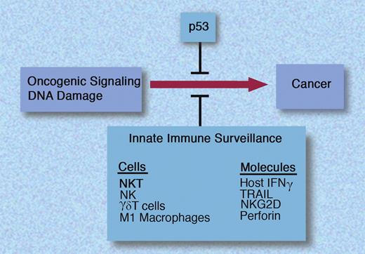 Intrinsic and innate immune barriers to tumorigenesis. INF indicates interferon-gamma; TRAIL, tumor necrosis factor–related apoptosis-inducing ligand; and NK, natural killer. Professional illustration by Marie Dauenheimer.