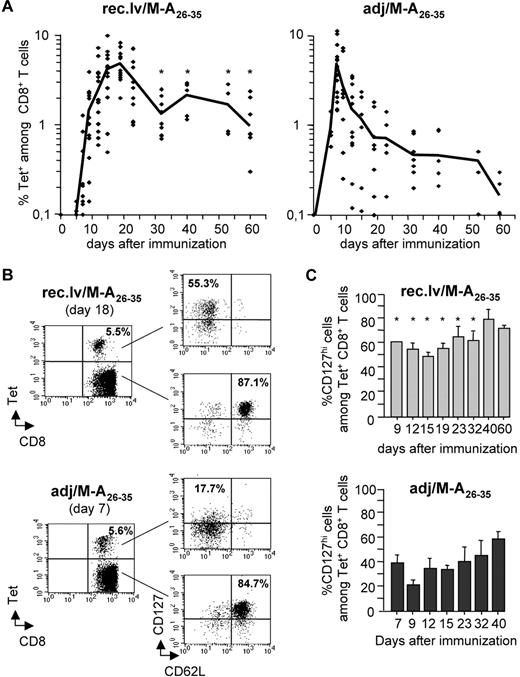 Figure 1. Immunizations with recombinant lentivectors elicit longer-lived Melan-A–specific CD8+ T-cell responses than peptide immunizations. (A) A2/Kb mice were immunized either with recombinant lentivectors encoding Melan-A26-35 (A27L) (rec.lv/M-A26-35), left panel, or with peptides Melan-A26-35 (A27L) in adjuvant (adj/M-A26-35), right panel. At the indicated time points after immunization, the frequency of Melan-A–specific CD8+ T cells (Tet+) was measured ex vivo by staining peripheral blood cells with Melan-A26-35/A2Kb tetramers. Each symbol represents an individual mouse. Note that, in the case of adjuvant/Melan-A26-35 immunizations, 2 mice at day 54 and 3 mice at day 60 showed a frequency of Tet+CD8+ T cells below the detection limit. Graphs represent the pool of 5 independent experiments. The black line connects mean values obtained at the indicated time points. *P < .05. (B) The expression of CD62L and CD127 (IL-7Rα) on Tet− and Tet+CD8+ T cells at the peak of the response (day 18 and day 7 for recombinant lentivector/Melan-A26-35 and for adjuvant/Melan-A26-35 immunizations, respectively) is shown for one representative experiment. (C) Bar graphs represent the percentage of CD127hi cells among Tet+CD8+ T cells at the indicated time points after immunization with recombinant lentivector/Melan-A26-35 (top panel) and with adjuvant/Melan-A26-35 (bottom panel). Error bars represent SD (n = 5). *P < .05.