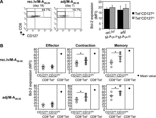 Figure 2. High expression of IL-7Rα does not induce up-regulation of Bcl-2 on Melan-A–specific CD8+ T cells at the effector phase, but it does it at the contraction and memory phases. (A) Melan-A–specific effector CD8+ T cells expressing low (■) and high () levels of CD127 were analyzed for intracellular Bcl-2 expression upon recombinant lentivector and peptide immunizations. Error bars represent SD (n = 5 or 6). (B) Kinetics of Bcl-2 expression ex vivo in CD127lo and CD127hi Tet+CD8+ T cells, and in Tet−CD8+ T cells upon recombinant lentivector (top panels) and peptide (bottom panels) immunizations. The indicated effector, contraction, and memory phases are shown, respectively, at days 18, 35, and 60 after immunization with recombinant lentivectors, and at days 7, 19, and 40 after immunization with peptides. Round symbols represent individual mice; horizontal bars represent mean values. For Tet−CD8+ T cells, the mean value of 5 mice for each time point is shown. *P < .05.