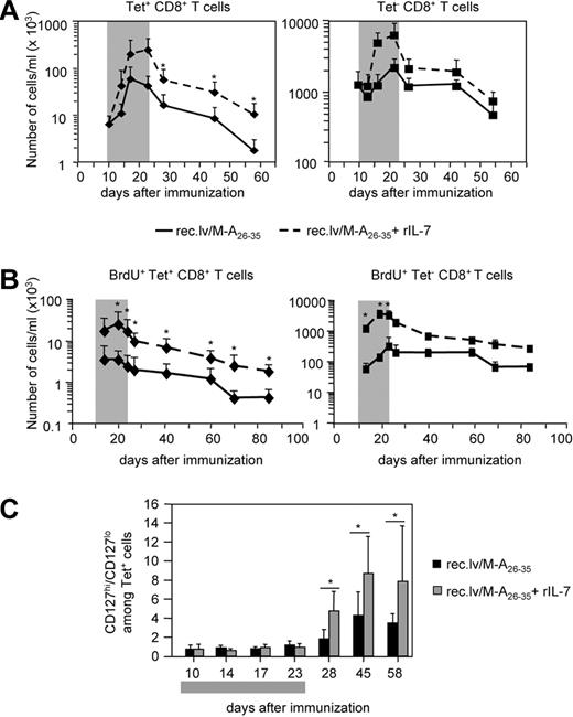 Figure 4. IL-7 adjuvant treatment increases Melan-A–specific effector and memory CD8+ T-cell responses on recombinant lentivector immunizations. (A) Mice immunized with recombinant lentivector/Melan-A26-35 were either treated with rIL-7 () or left untreated (−) during the effector phase of the immune response (days 10-23). The number of Tet+CD8+ T cells (left panel) and the number of Tet−CD8+ T cells (right panel) per milliliter of blood are shown at different time points after immunization. Error bars represent SD (n = 12). (B) In a separate experiment, mice were treated as in panel A. All mice received BrdU in the drinking water (days 10-23). Graphs represent the kinetics of BrdU incorporation in Tet+ (left panel) and in Tet− (right panel) CD8+ T cells. The number of BrdU+ cells per milliliter of blood at the indicated time points is shown. Error bars represent SD (n = 7). (C) Ratio between CD127hi and CD127lo Tet+CD8+ T cells in untreated (■) and IL-7–treated () mice. Error bars represent SD (n = 12). The gray boxes in panels A and C represent the IL-7 treatment period; and in panel B, the IL-7 and BrdU treatment period. *P < .05.