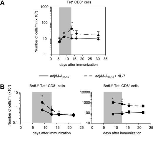 Figure 5. IL-7 adjuvant treatment does not increase Melan-A–specific memory CD8+ T-cell responses on peptide immunization. Mice immunized with adjuvant/Melan-A26-35 were either treated with rIL-7 () or left untreated (−) during the effector phase of the immune response (days 5-13). (A) Kinetics of Melan-A–specific CD8+ T-cell responses. The number of Tet+CD8+ T cells per milliliter of blood is shown. (B) In a separate experiment, mice were treated as in panel A. All mice received BrdU in the drinking water (days 5-13). Graphs represent the kinetics of BrdU incorporation in Tet+ (left panel) and in Tet− (right panel) CD8+ T cells. The number of BrdU+ cells per milliliter of blood at the indicated time points is shown. Error bars represent SD (n = 5). The gray box in panel A indicates the IL-7 treatment period; and in panel B, the IL-7 and BrdU treatment period. *P < .05.
