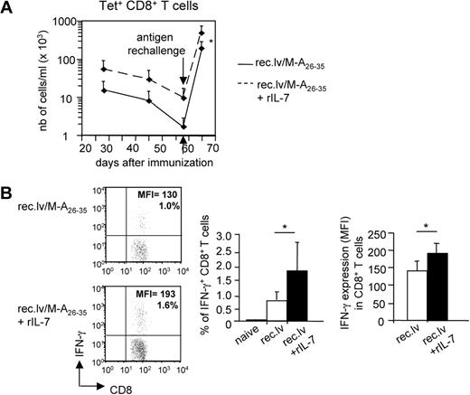 Figure 6. IL-7 treatment improves the functionality of Melan-A–specific memory CD8+ T cells. A2/Kb mice were immunized with recombinant lentivector/Melan-A26-35 and either left untreated or treated with rIL-7 during the effector phase of the primary immune response (days 10-23). (A) At the memory phase (day 58 after immunization), mice were rechallenged with adjuvant/Melan-A26-35 immunizations. Eight days later, the number of Tet+ was measured ex vivo. Graphs represent the mean values. Error bars represent SD (n = 6). (B) At day 45 after primary immunization, PBMCs from immunized mice were shortly restimulated in vitro with Melan-A26-35 peptides. Intracellular content of IFN-γ on stimulation was measured. (Left panels) Dot plots show one representative experiment. (Right panels) Histogram plots show the frequency of IFN-γ+ among CD8+ T cells, and the expression level (MFI) of IFN-γ in those cells. Error bars represent SD (n = 7-9). *P < .05.