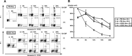 Figure 3. Apoptosis pattern and G-CSF effect on survival of hESC-Neu's. (A) Flow cytometric analysis. In the steady state, PB-Neu's have a short life span of approximately 24 hours, but this can be prolonged by G-CSF stimulation (i-v). Some hESC-Neu's were already apoptotic at the time of the harvest from the induction culture (vi). In contrast to the PB-Neu's that underwent apoptosis within 6 hours without G-CSF (ii), the proportion of apoptotic cells did not increase for up to 6 hours after the start of the culture of hESC-Neu's in the medium without G-CSF (vi,vii). In addition, there were no differences between the cultures of hESC-Neu's with and without G-CSF for up to 6 hours (vii). After 6 hours, nonapoptotic cells decreased more rapidly among hESC-Neu's without G-CSF than among hESC-Neu's with G-CSF (viii-x), resulting in the lower number of viable cells than hESC-Neu's with G-CSF at 24 hours (x). Figures are representative of 3 independent experiments. Data are presented as mean plus or minus SD (n = 3). (B) The time course of the decrease in viable cells. Bars represent SDs (n = 3).