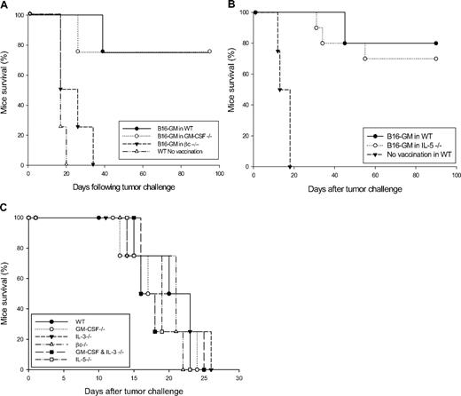 Figure 1. GM-CSF–secreting tumor cell vaccination in WT, GM-CSF, IL-5, or βc knockout C57BL/6 mice. (A) GM-CSF−/−, βc−/−, WT, or (B) IL-5−/− and WT C57BL/6 mice were immunized subcutaneously on the abdomen with 106 irradiated, B16-GM cells (5 per group). One week later, the vaccinated mice as well as the unvaccinated WT controls, were challenged subcutaneously on the back with 5 × 105 live B16 cells. The difference observed in survival time between B16-GM–vaccinated βc−/− mice and unvaccinated WT controls is not statistically significant. This experiment is representative of 3 independent experiments. (C) Tumorogenicity of B16-F10 cells in different knockout mice. Survival of WT and indicated knockout C57BL/6 mice inoculated with 5 × 105 B16-F10 cells. This experiment is representative of 3 independent experiments.